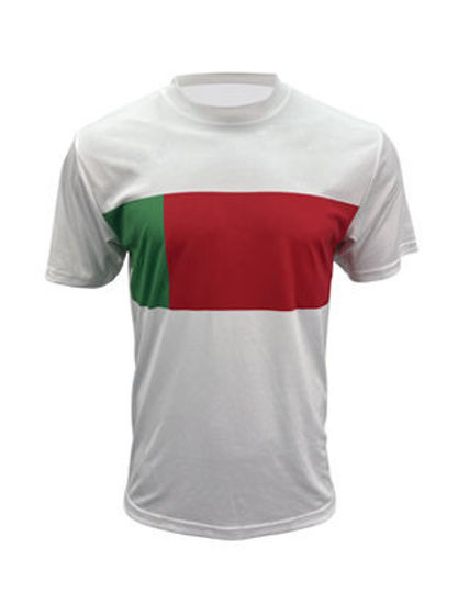 Picture of BOCINI WORLD CUP JERSEY FWC2221