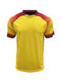 Picture of BOCINI WORLD CUP JERSEY FWC2234