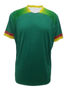 Picture of BOCINI WORLD CUP JERSEY FWC2236