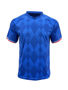 Picture of BOCINI WORLD CUP JERSEY FWC2243