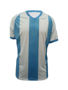 Picture of BOCINI WORLD CUP JERSEY FWC2258