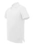 Picture of BOCINI Unisex Adults Plain Cotton Polo CP1549