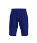 Picture of BOCINI Terry Fleece Track Shorts CK2107